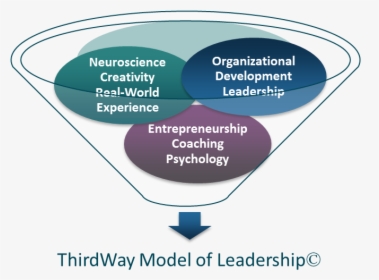 Funnel - Leadership Theory Of Entrepreneurship, HD Png Download, Transparent PNG