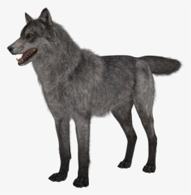 Free Call Of Duty Ghosts Riley Png - Call Of Duty Ghosts Wolves, Transparent Png, Transparent PNG