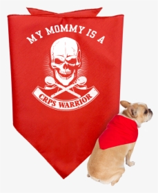 Customisable Crps Warrior Skull Doggie Bandana - T-shirt, HD Png Download, Transparent PNG