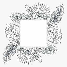 #freetoedit #overlay #blackandwhite #template #handdrawn - Tropical Leaf Png Black And White, Transparent Png, Transparent PNG
