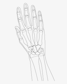 Sketch, HD Png Download, Transparent PNG