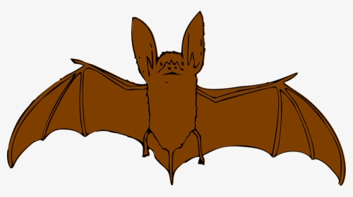 Bat, Flying, Animal, Brown - Bat Clip Art, HD Png Download, Transparent PNG