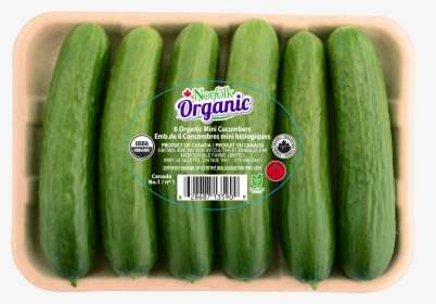 Organic Mini Cucumbers, HD Png Download, Transparent PNG