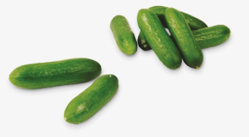 Snack Cucumbers - Mini Komkommers, HD Png Download, Transparent PNG