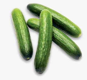 Mini Cucumbers - Cucumber, HD Png Download, Transparent PNG