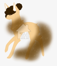 Siamese, HD Png Download, Transparent PNG