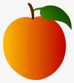 Vector Peach Free Download On Melbournechapter - Peach Clipart, HD Png Download, Transparent PNG