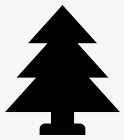 Tree Conifer - Pine Tree Easy, HD Png Download, Transparent PNG