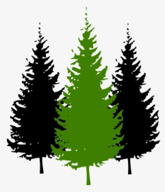 Trees, Conifer, Pine, Environment, Green, Black, Three - Pine Tree Clipart Png, Transparent Png, Transparent PNG