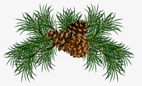 Christmas Pine Cone Png, Transparent Png, Transparent PNG