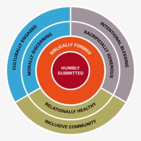 Anatomy Of A Disciple Circles, HD Png Download, Transparent PNG