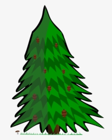 Conifer Vector Tree Free Picture - Kreslený Jehličnatý Strom, HD Png Download, Transparent PNG