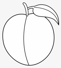 Peach Fruit Coloring Page, HD Png Download, Transparent PNG