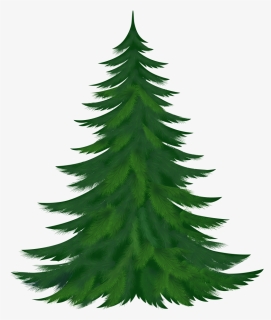 Christmas Tree Clipart Branches - Christmas Tree Images Download, HD Png Download, Transparent PNG