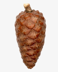 This Alt Value Should Not Be Empty If You Assign Primary - Pineapple, HD Png Download, Transparent PNG
