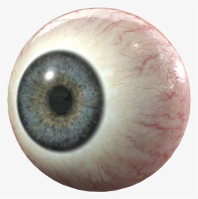 Eye Png - Transparent Background Eyeball Png, Png Download, Transparent PNG