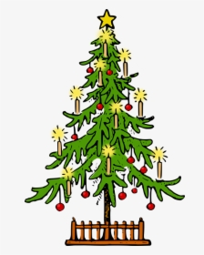 Christmas, Christmas Tree, Conifer, Fir, Holiday, Lutz - Christmas Tree Drawing, HD Png Download, Transparent PNG