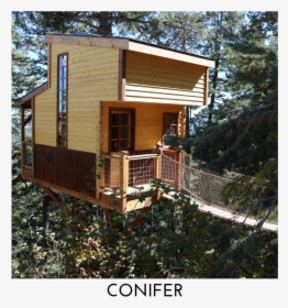 Conifer Square Title - Cottage, HD Png Download, Transparent PNG