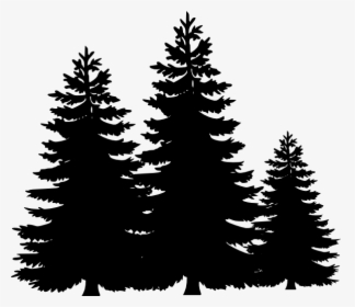 Black And White Tree Clipart, HD Png Download, Transparent PNG