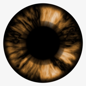Brown Eye Lens Png, Transparent Png, Transparent PNG