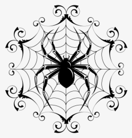 Cartoon Halloween Pictures To - Drawings Of Spiders In Webs, HD Png Download, Transparent PNG