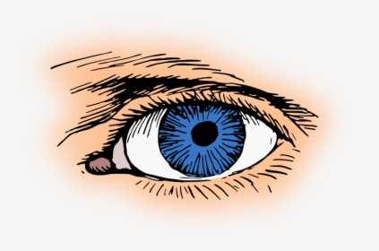 Iris,close Up,eye - Clip Art Eyes Blue, HD Png Download, Transparent PNG