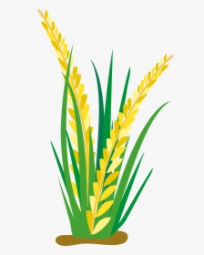 Field Clipart Rice Clip Arts For Download - Rice Plant Clipart Png, Transparent Png, Transparent PNG
