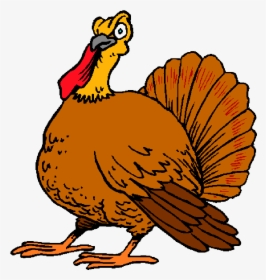 Cartoon Turkey Image - Thanks For Giving Me, HD Png Download, Transparent PNG
