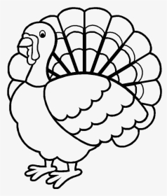 Transparent Turkey - Happy Thanksgiving Coloring, HD Png Download, Transparent PNG