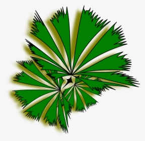 Planting Clipart Top View - Palms Top View Clipart, HD Png Download, Transparent PNG