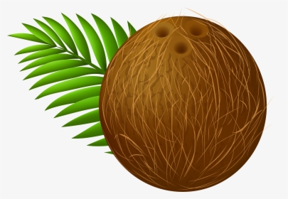Transparent Png Clip Art - Coconut Jam Logo, Png Download, Transparent PNG