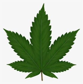 Weed Plant Png Image - Weed Png, Transparent Png, Transparent PNG