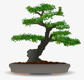 Bonsai,plant,houseplant - Bonsai Tree Vector Free, HD Png Download, Transparent PNG