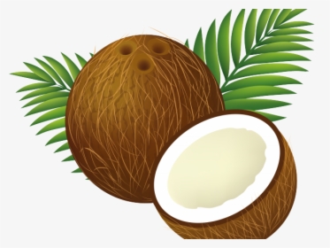 Coconut Clipart Clip Art - Coconut Png Clipart, Transparent Png, Transparent PNG