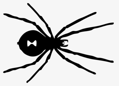 Panda Free Images - Black Widow Spider Pattern, HD Png Download, Transparent PNG