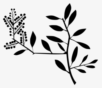 Plant,flora,leaf - Clip Art, HD Png Download, Transparent PNG