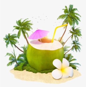 Transparent Coconut Png - World Coconut Day 2019, Png Download, Transparent PNG