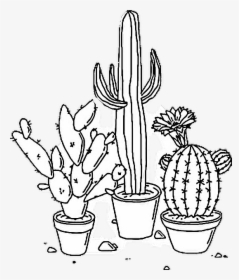 #sticker #tumblr #aesthetic #png #cactus #plant #blackandwhite - Aesthetic Transparent Black And White, Png Download, Transparent PNG