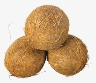 Husked Coconut - Coconuts Png, Transparent Png, Transparent PNG