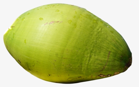 Coconut Clipart Coconut Bunch - Green Coconut Fruit Png, Transparent Png, Transparent PNG