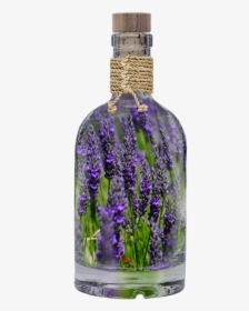 Lavender Plant Based Oils - Using Lavender, HD Png Download, Transparent PNG