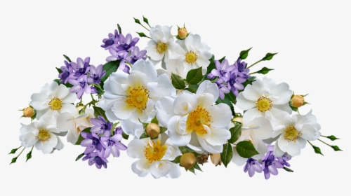 Flowers, Roses, White, Mauve Babianas, Isolated - Bunga Mawar Putih Png, Transparent Png, Transparent PNG