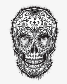 Drawing Detail Sugar Skull - Dia De Los Muertos Sugar Skull Drawing, HD Png Download, Transparent PNG
