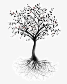 Tree Of Life Root Tattoo Branch - Arbre Noir Et Blanc, HD Png Download, Transparent PNG