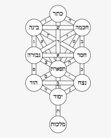 Kabbalah Tree Of Life, HD Png Download, Transparent PNG
