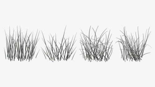 Black And White Texture Long Grass, HD Png Download, Transparent PNG