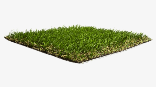 Artificial Grass Liquidators Turf Agl California Gold - Lawn, HD Png Download, Transparent PNG