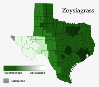 Zoysiagrass Areas Of Adaptation - St Augustine Grass Map, HD Png Download, Transparent PNG