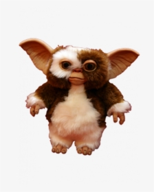 Trick Or Treat Studios Gizmo, HD Png Download, Transparent PNG