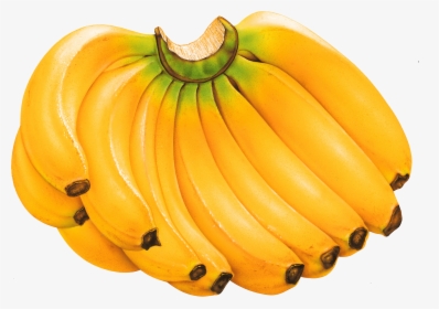 Transparent Banana Clipart - Fruits Banana Png, Png Download, Transparent PNG